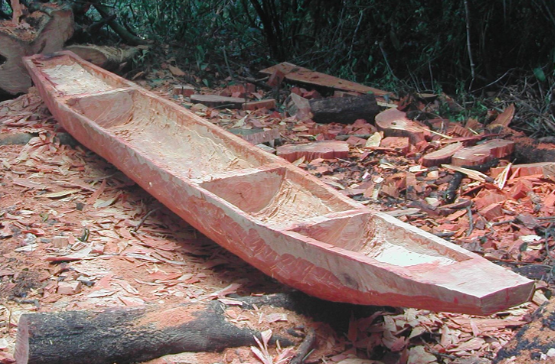 Canoa Monóxila